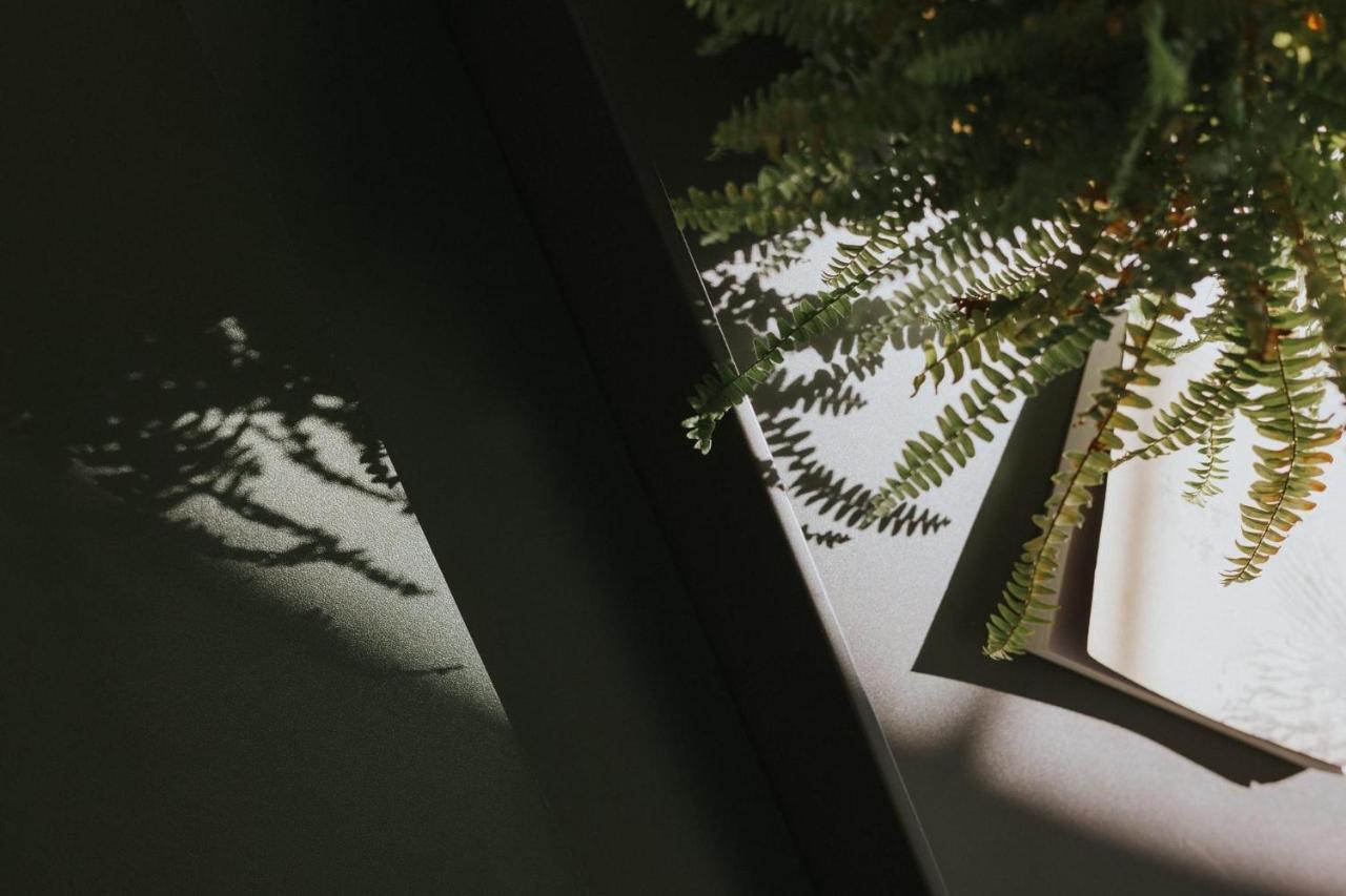 아리산 Sunrise Yunqi Teahouse 아파트 외부 사진